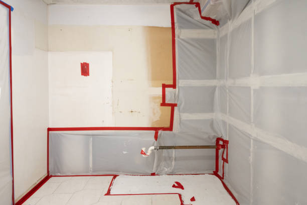 Best Commercial Mold Inspection  in Oak Grove, MS